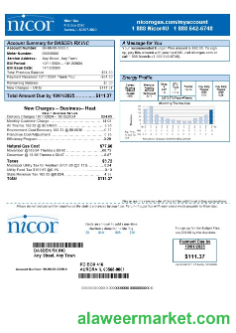 USA Illinois Nicor gas business utility bill template in Word and PDF formats